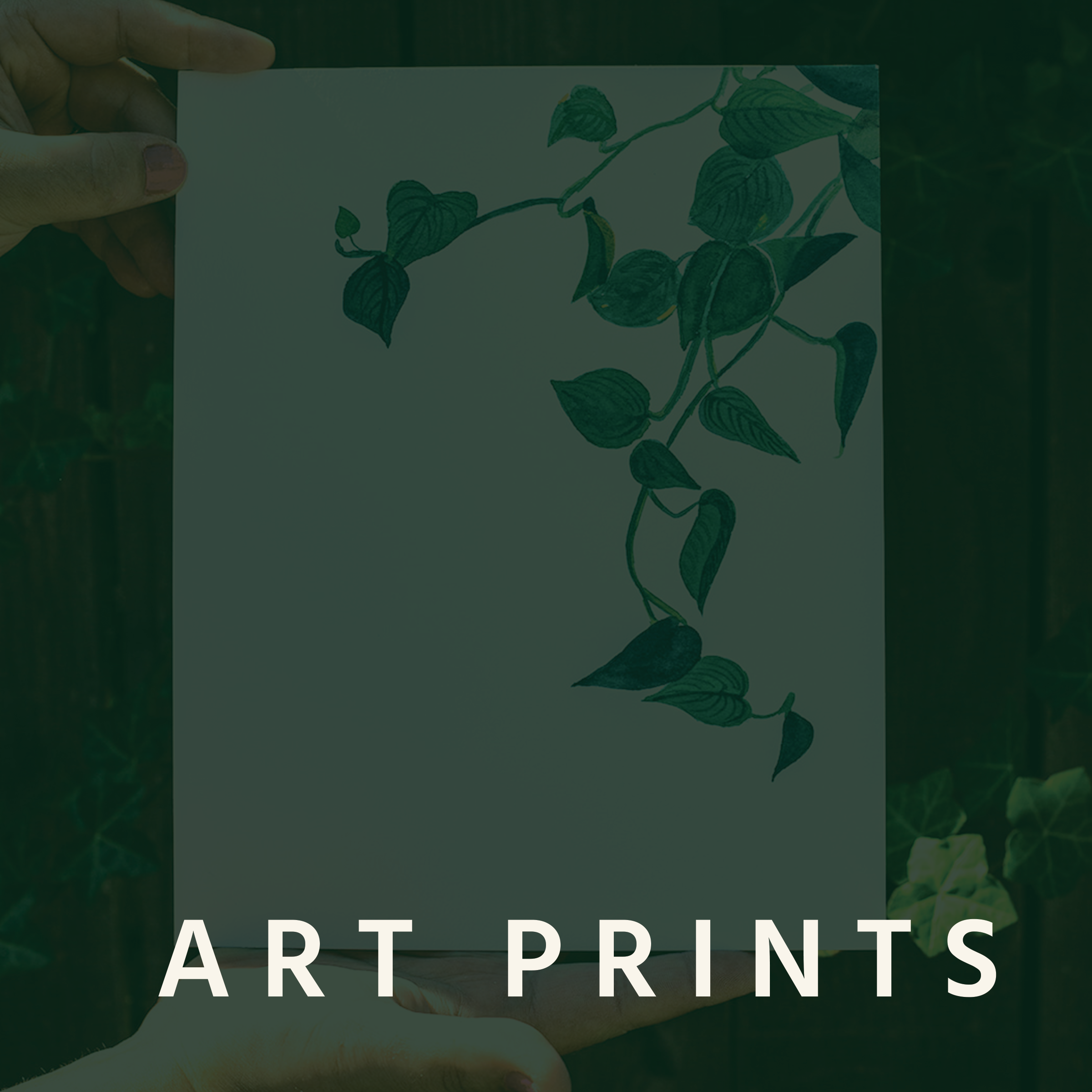 Art Prints