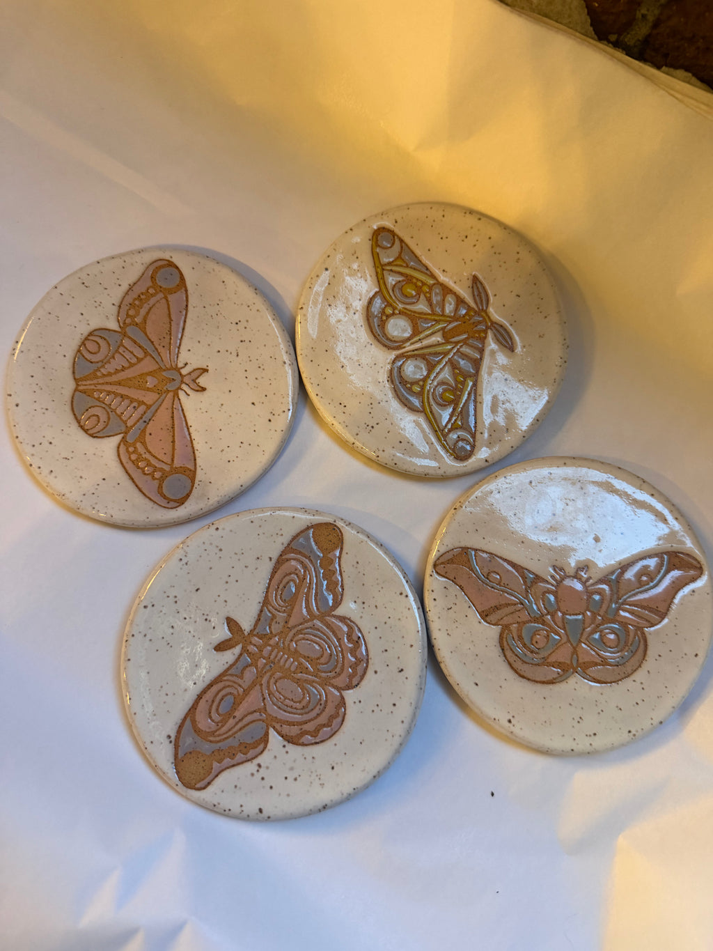 Bug Coaster Collection