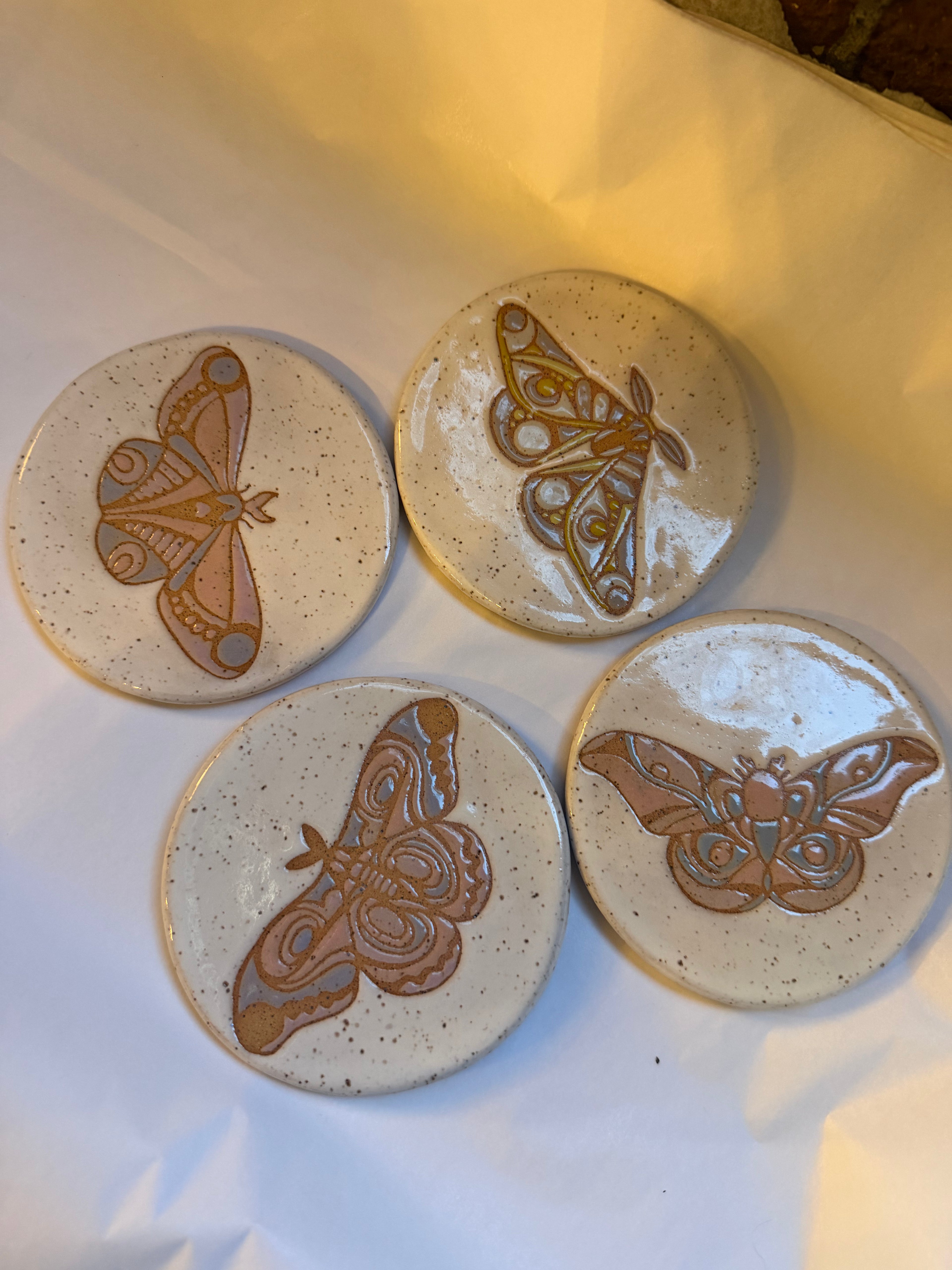 Bug Coaster Collection