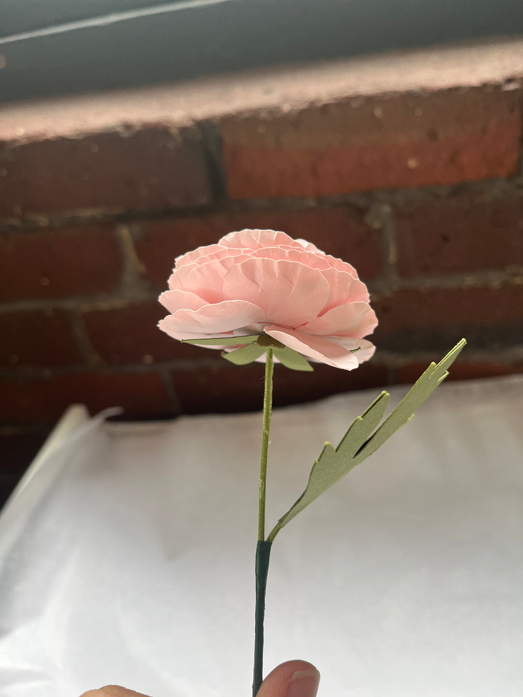 Ranunculus Paper Flower