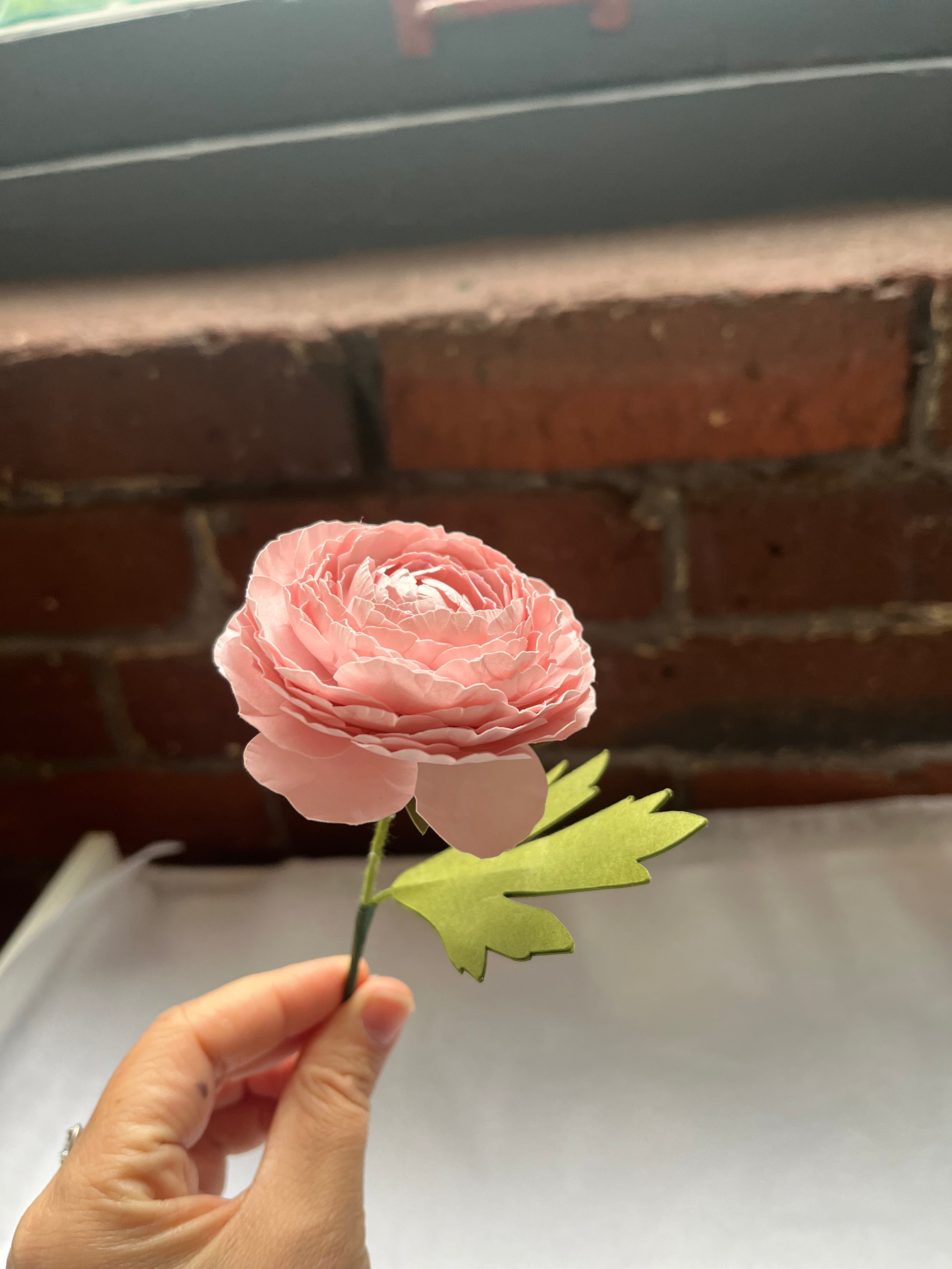 Ranunculus Paper Flower