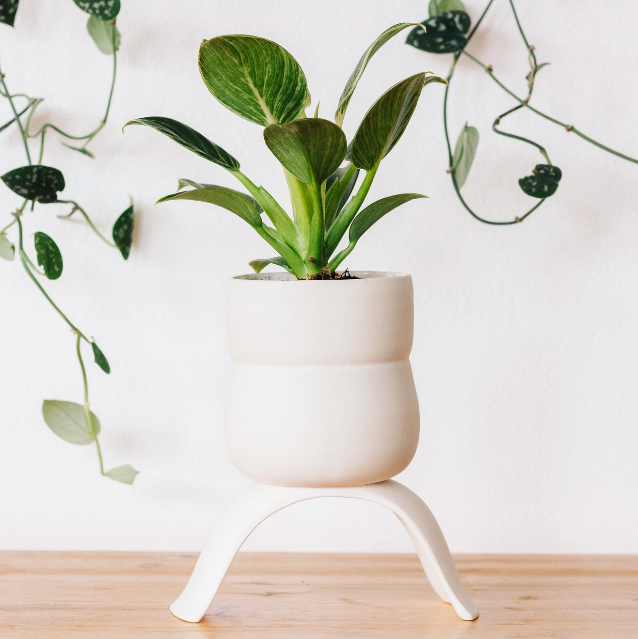 raw earth plant stand pot Wiggle Planter, High Rise