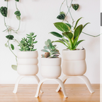 Wiggle Planter, High Rise