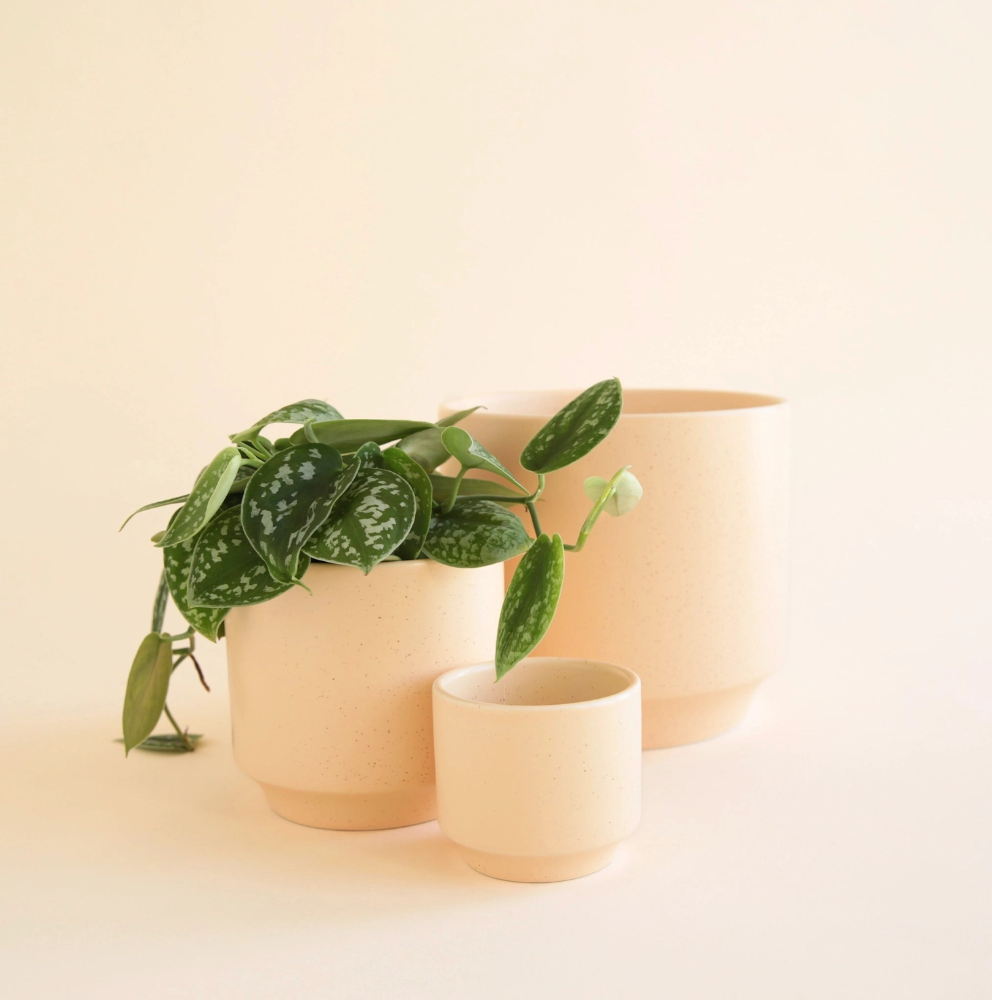 Parker Pot | Vanilla Speckle