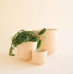 Parker Pot | Vanilla Speckle