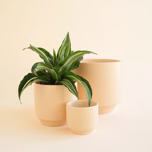 Parker Pot | Vanilla Speckle