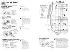 Street Trees of Seattle: An Illustrated Walking Guide