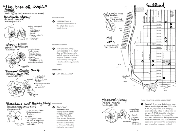 Street Trees of Seattle: An Illustrated Walking Guide