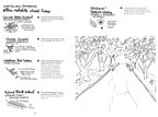 Street Trees of Seattle: An Illustrated Walking Guide