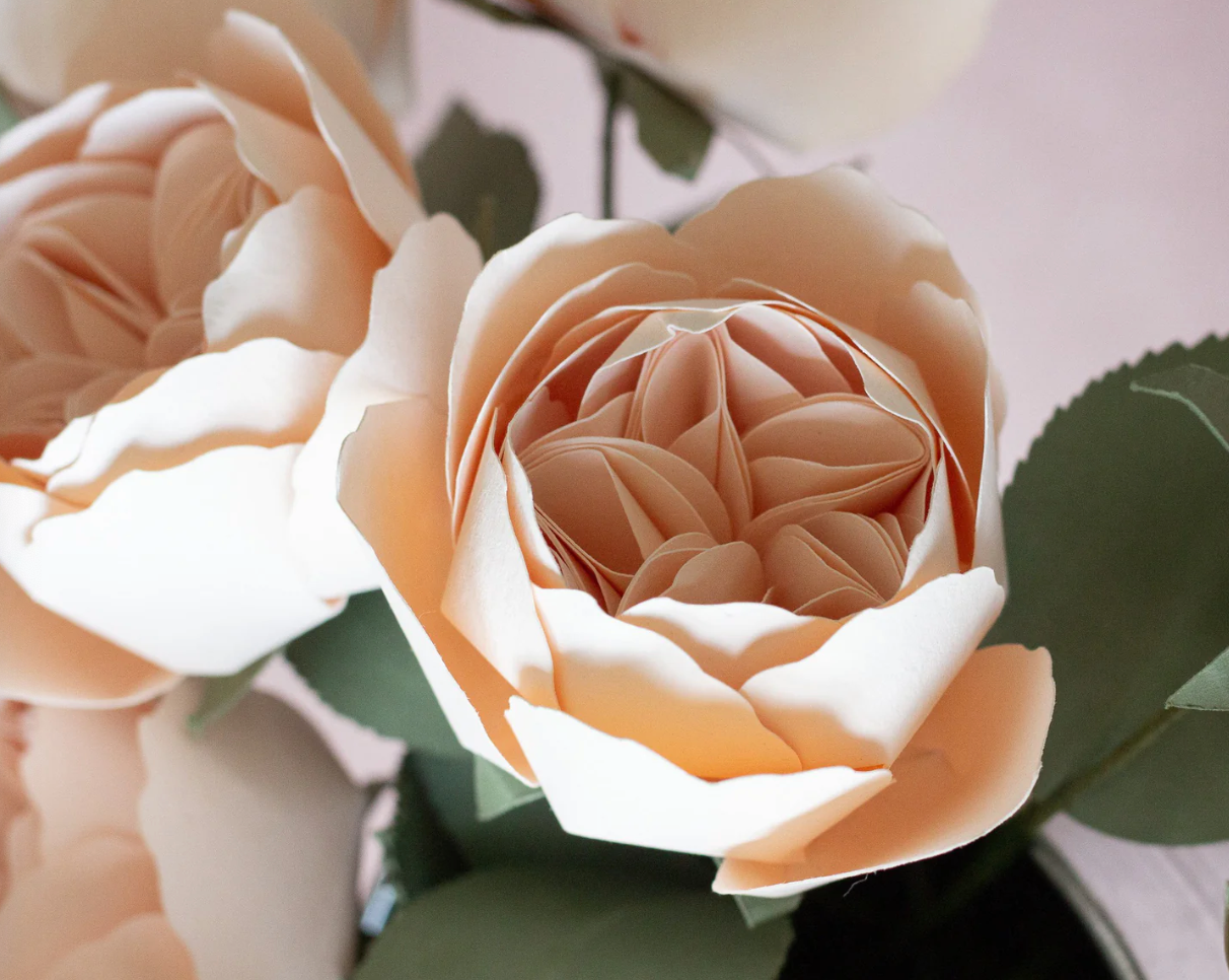 Juliet Rose Paper Flower
