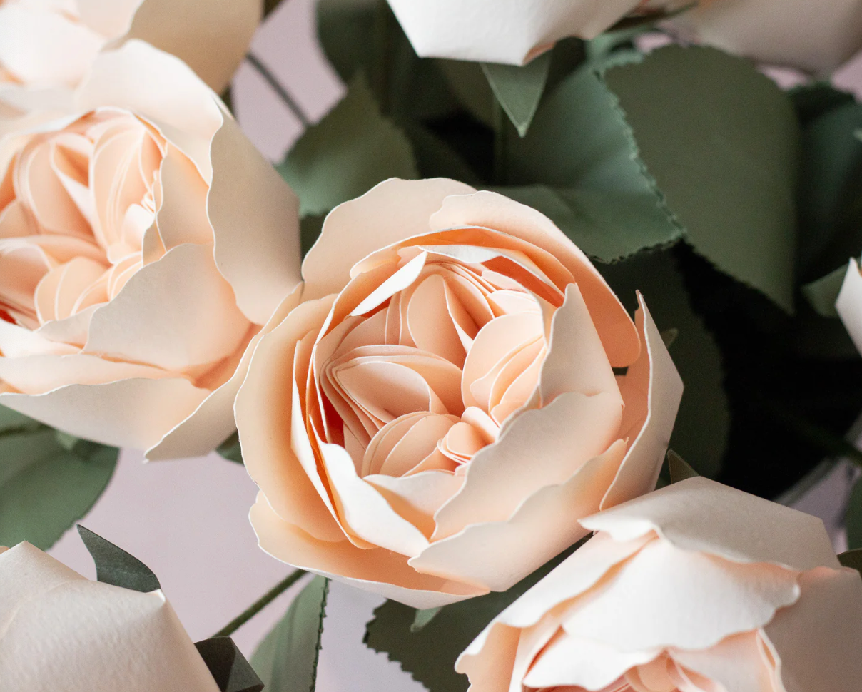 Juliet Rose Paper Flower