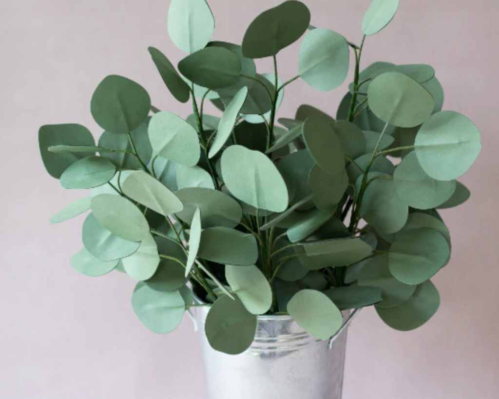 Eucalyptus Paper Flower
