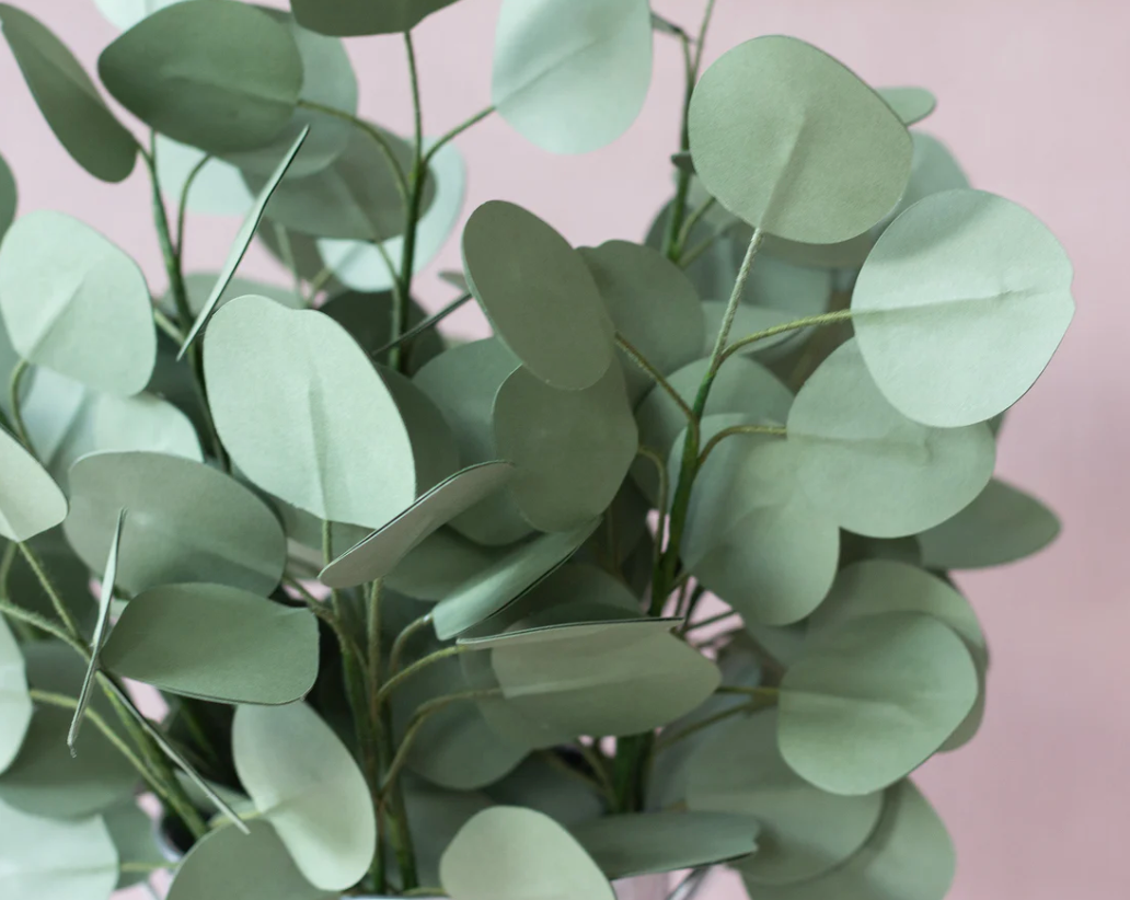 Eucalyptus Paper Flower