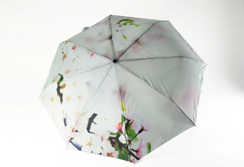 Cherry Blossom Umbrella