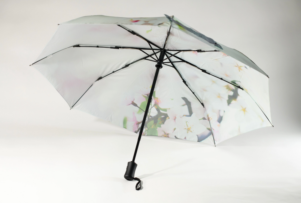 Cherry Blossom Umbrella