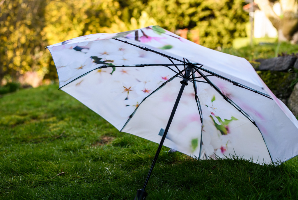 Cherry Blossom Umbrella