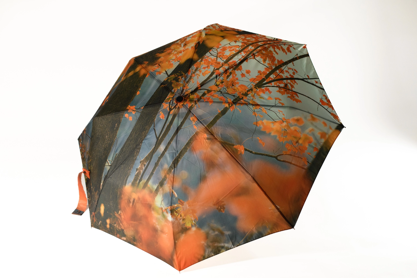 Fall Leaves Umbrella
