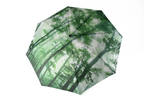 Misty Woods Umbrella