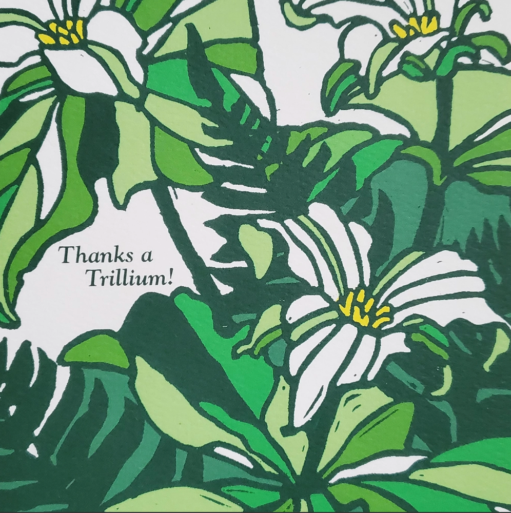 Thanks A Trillium Greeting Card