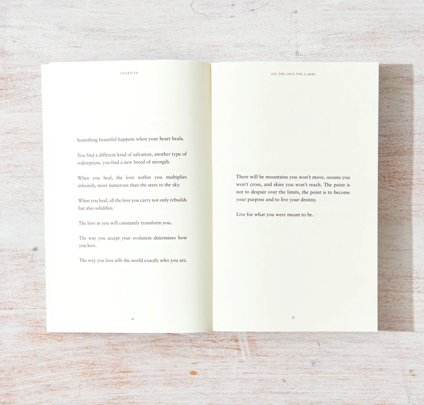 All the Love You Carry