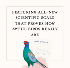 A Dumb Birds Field Guide to the Worst Birds Ever