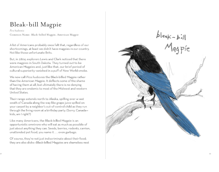 A Dumb Birds Field Guide to the Worst Birds Ever