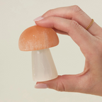Selenite Mushroom