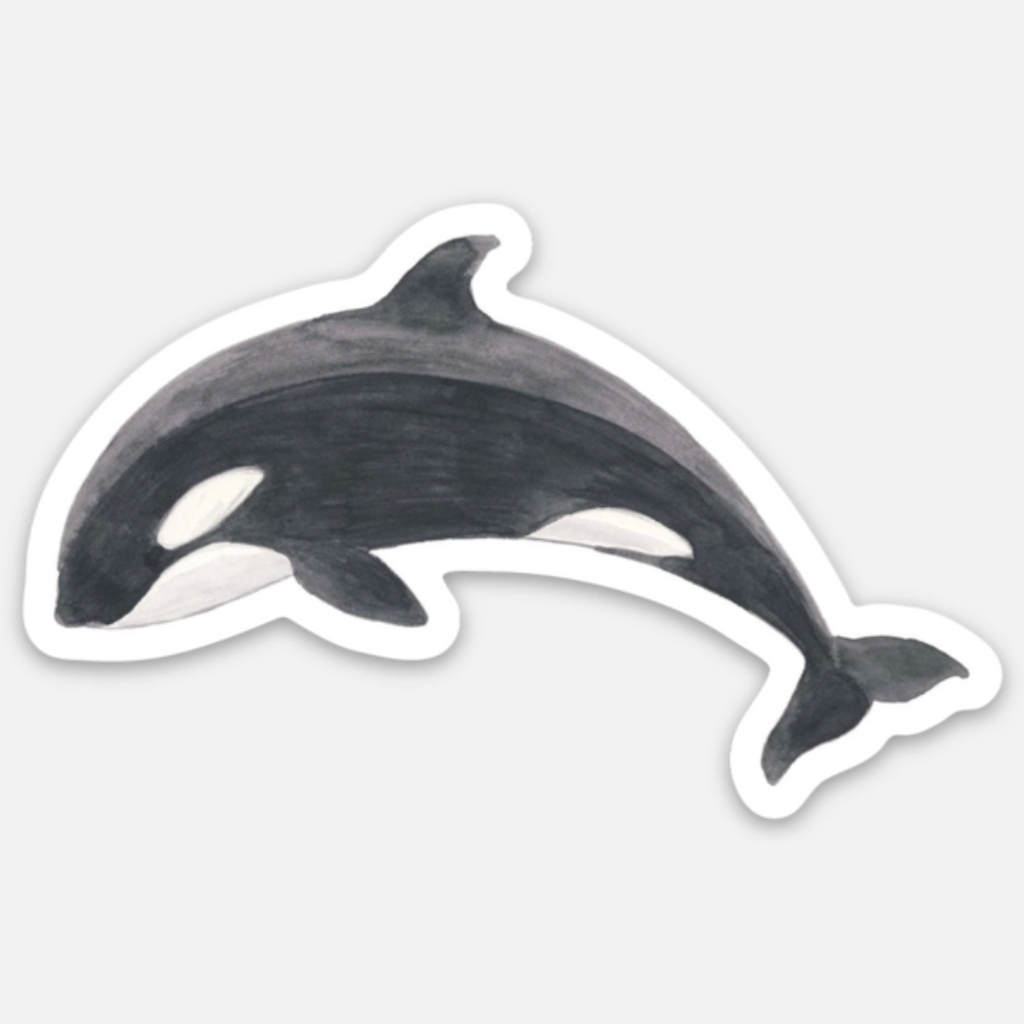 Orca Sticker