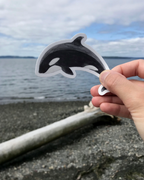 Orca Sticker