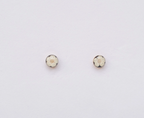 Pressed Beige Flower Earrings, Small