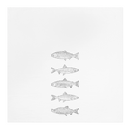 Salmon Printed Cotton Kitchen Tea Towel