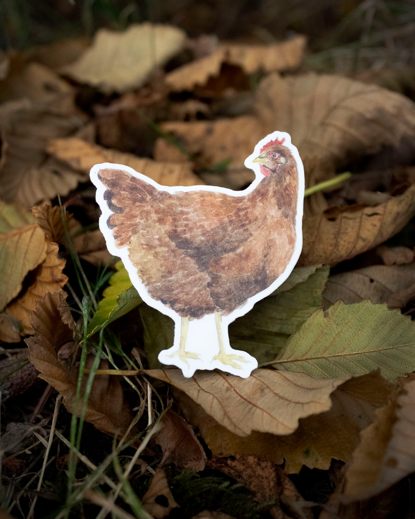 Chicken Sticker