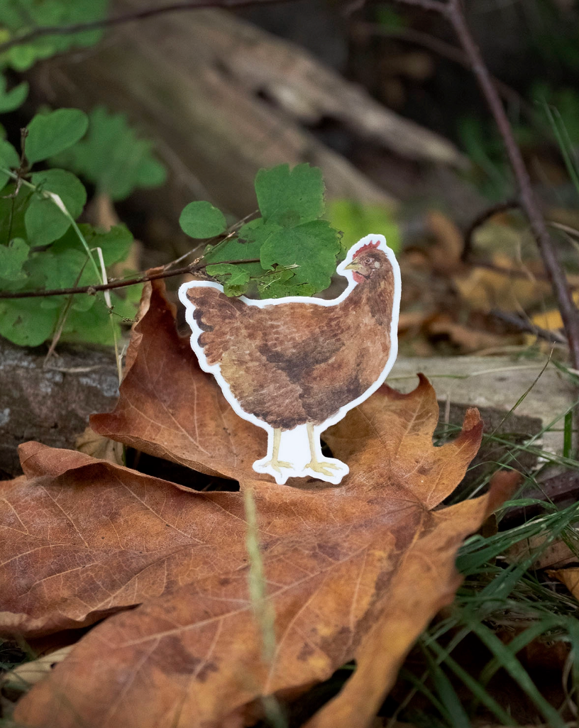 Chicken Sticker