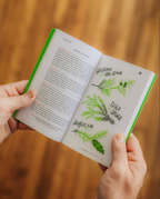 Olympic National Park Guide Book