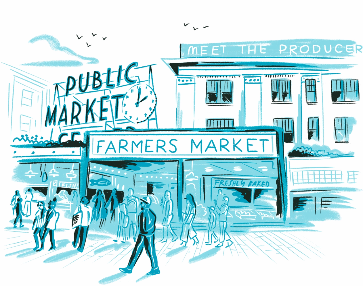 Seattle Field Guide Book