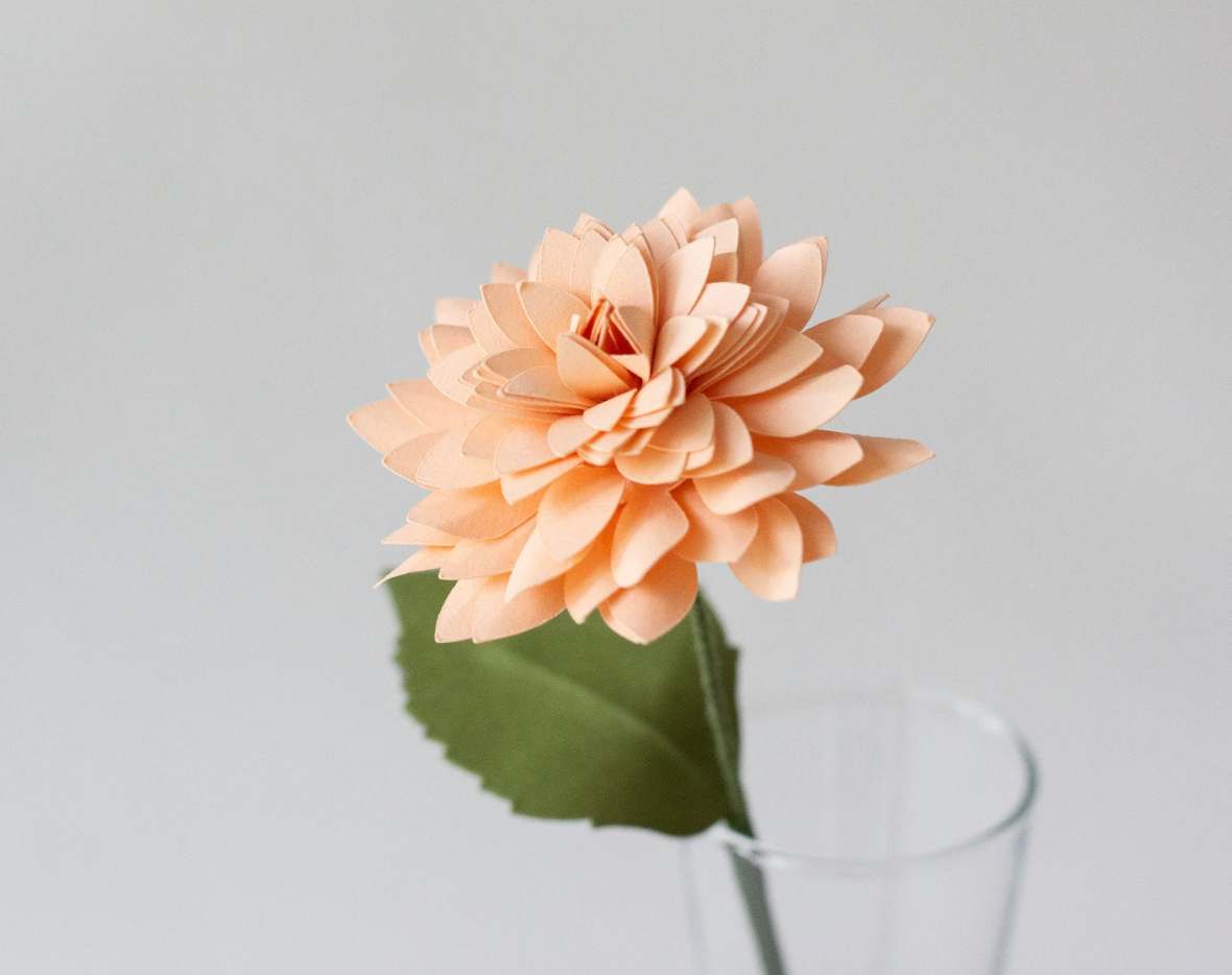 Paper Rolled Dahlia Flower