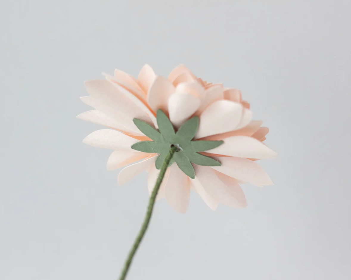 Paper Rolled Dahlia Flower