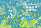 Breathwork: How to Use Your Breath to Change Your Life