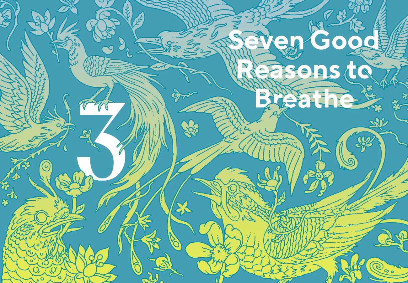 Breathwork: How to Use Your Breath to Change Your Life