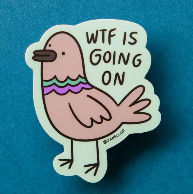 Wtf Pigeon Sticker