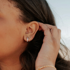 Brown & White Checkered Hoops