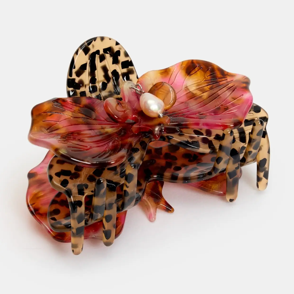Orchid Claw in Cougar