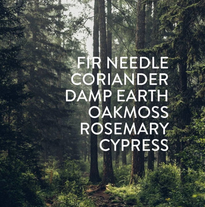 Forest Candle