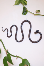 Horizontal Ceramic Wall Snake