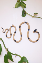 Horizontal Ceramic Wall Snake