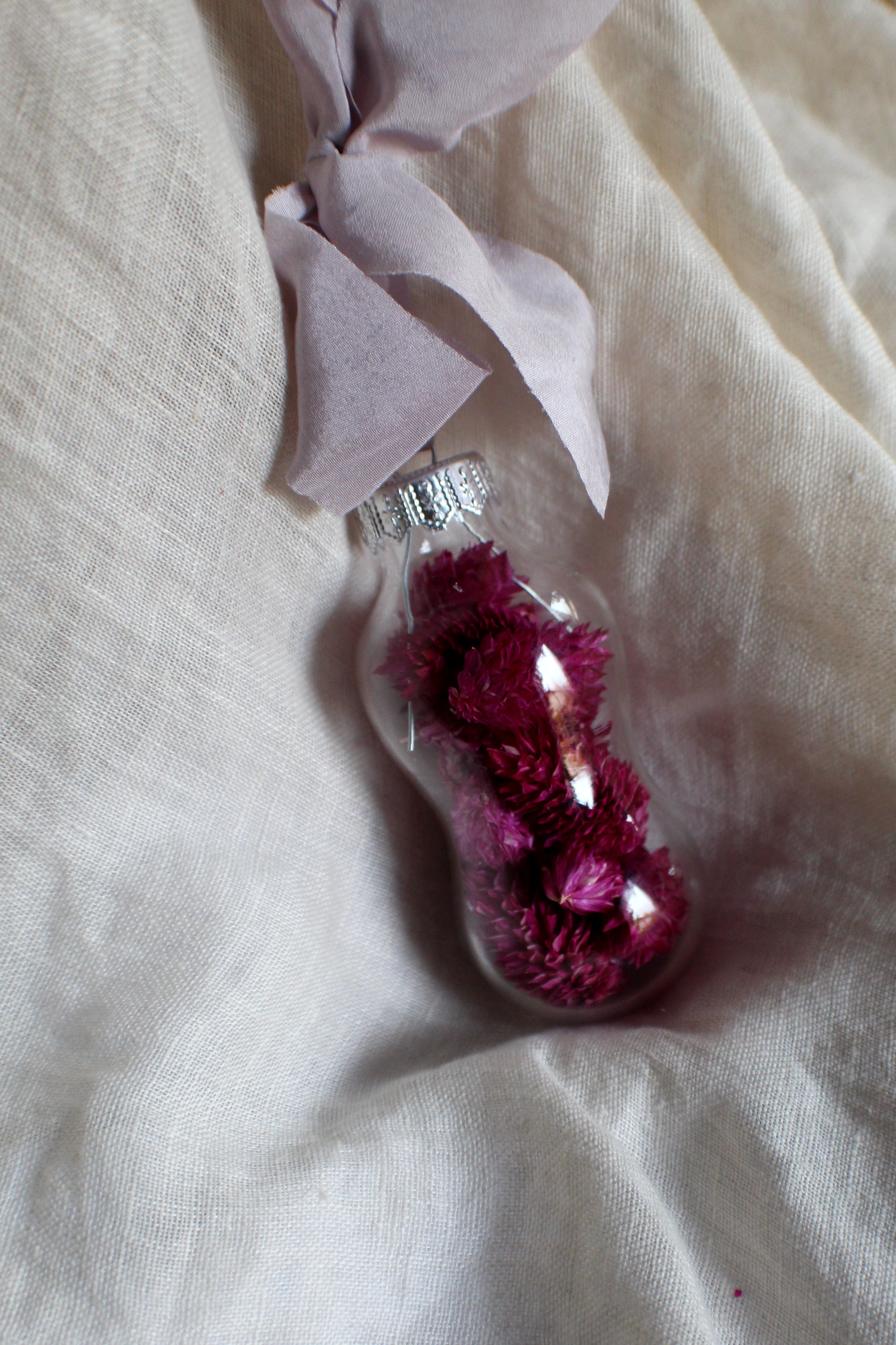 Holiday Dried Ornaments 4-Pack