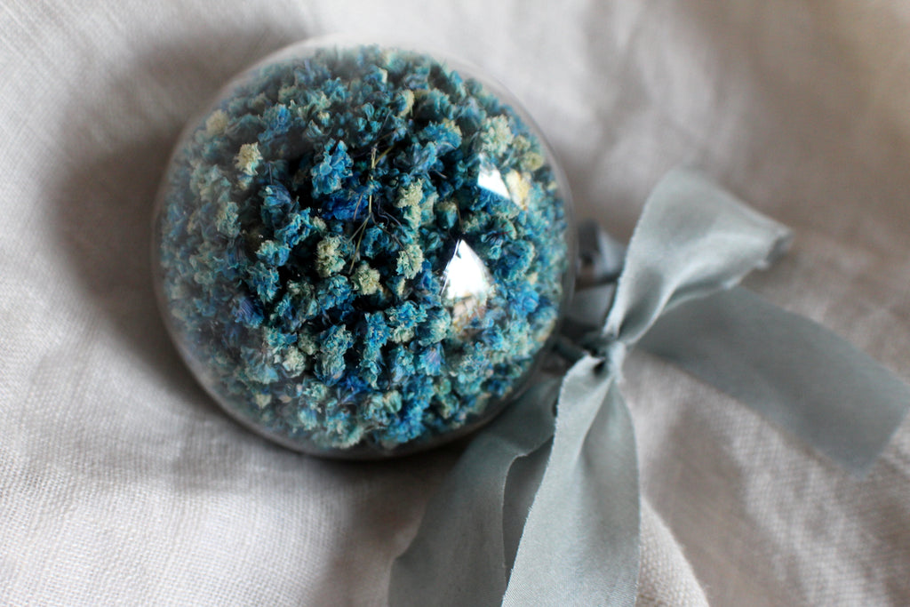 Holiday Dried Ornaments 4-Pack