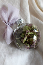 Holiday Dried Ornaments 4-Pack