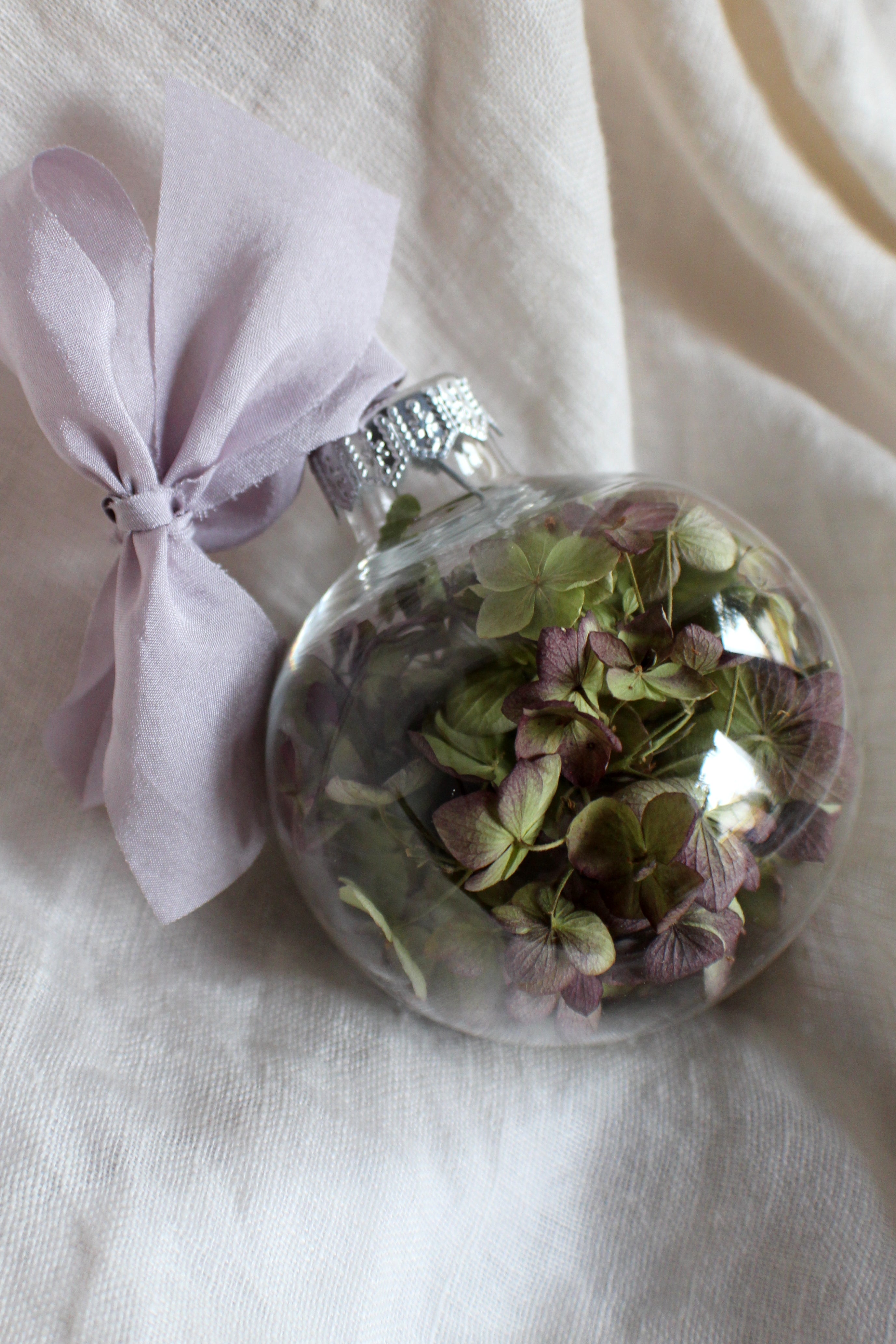 Holiday Dried Ornaments 4-Pack