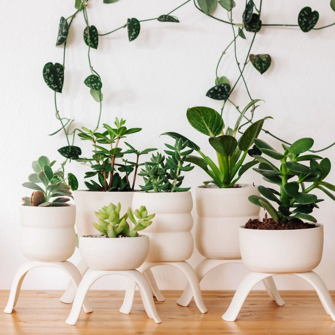 High Rise Classic Planter